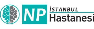 NPİstanbul