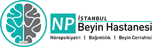 NPİstanbul